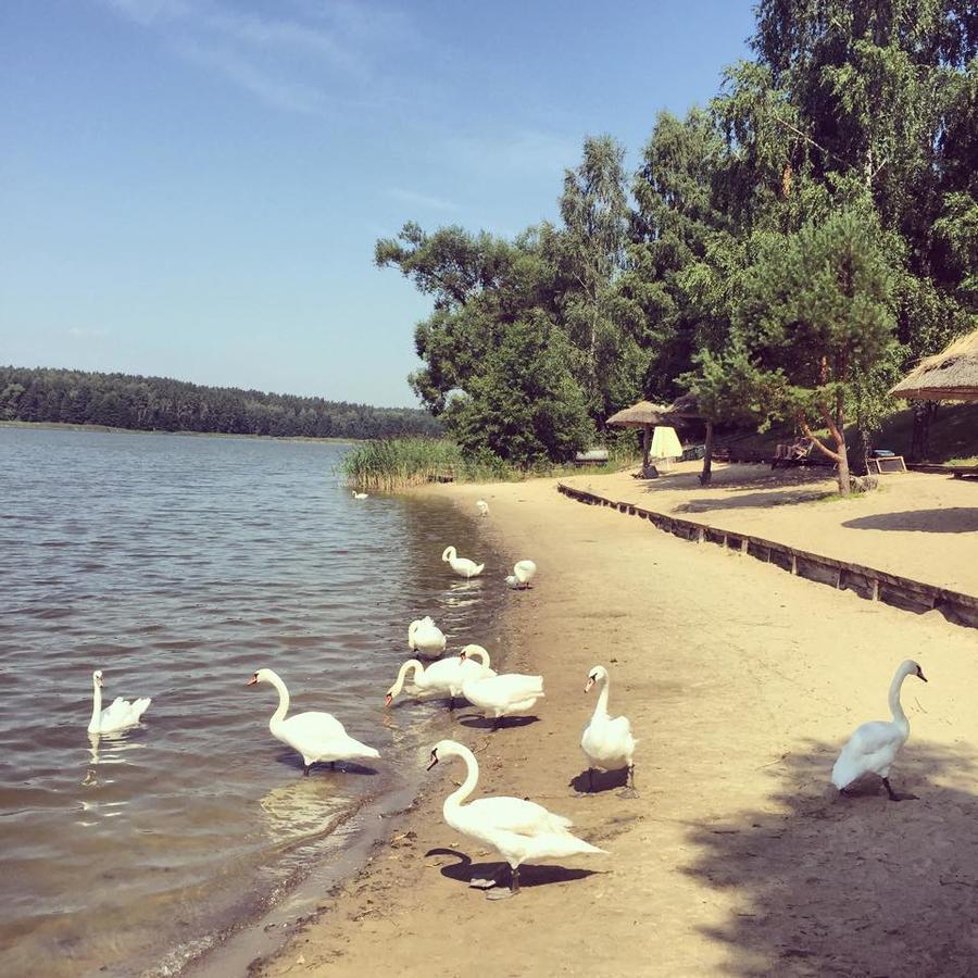 Kanu Club - Osrodek Wypoczynkowy Nowy Zyzdrój エクステリア 写真